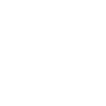 BizRavana